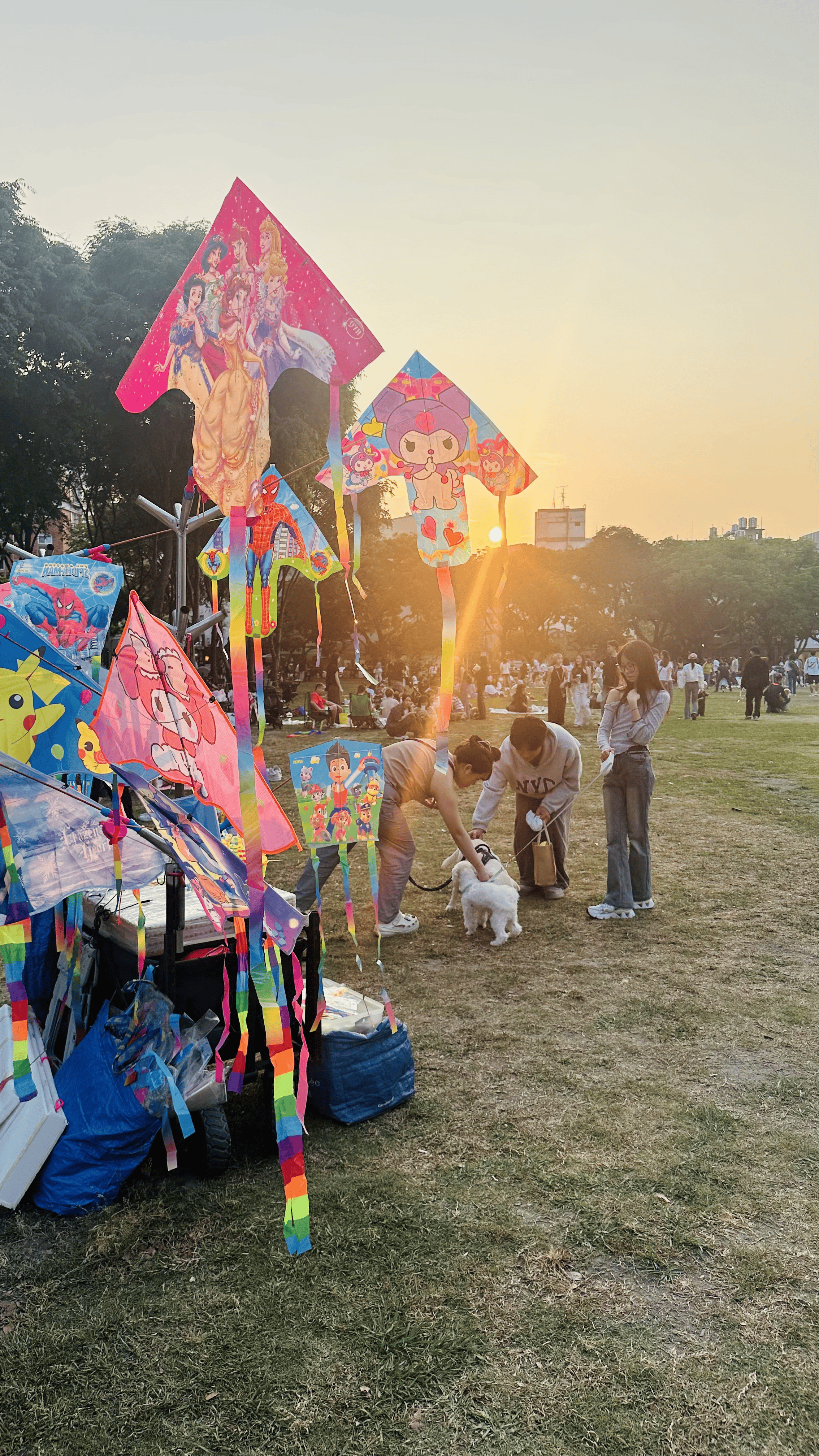 Bubble Tea, Art & Golden Hour