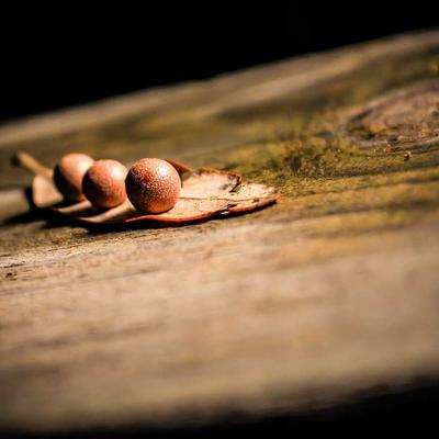 Travel photo
