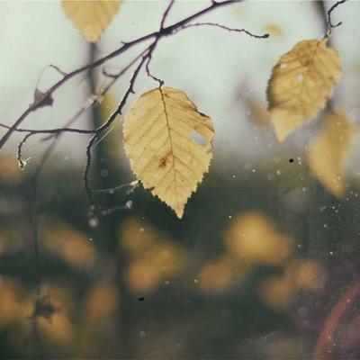 Travel photo